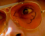 Doctor Duk
