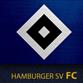 < HSV >