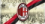 Milaninmyheart