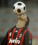 RONALDINHO20
