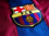 BaRcA_fAnChIk