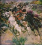 Ivan_fanat1900.